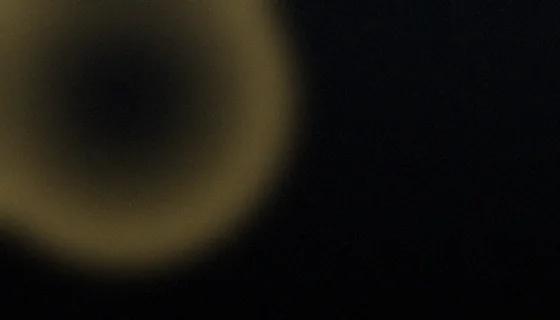 GrowthNexus account page preview