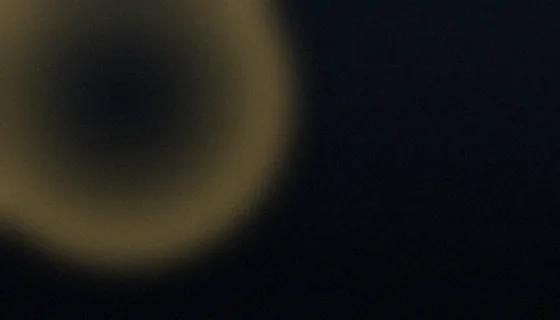 GrowthNexus articles page preview