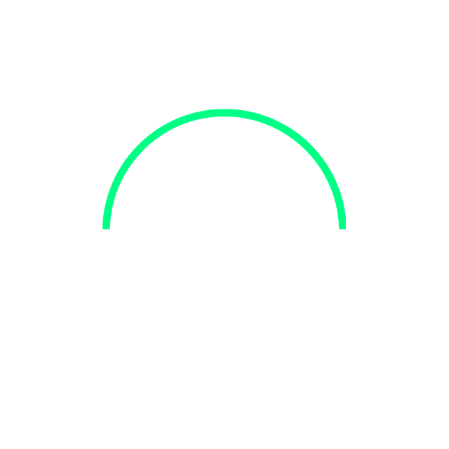 Vlyze logo